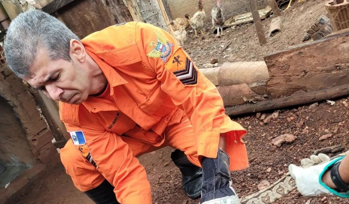 Bombeiros resgatam cobra de quase um metro em residência em Coité do Noia