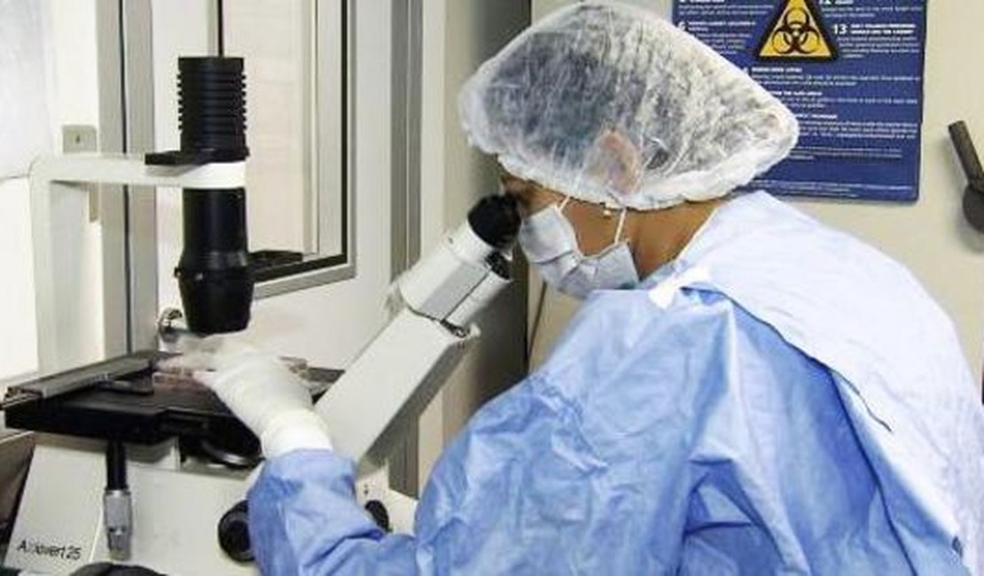 OMS diz que antes de 2020 não será licenciada vacina segura contra o Zika