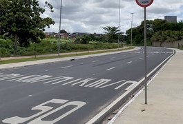 SMTT Arapiraca orienta condutores sobre cuidados com animais nas vias