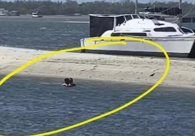 Homem é flagrado fazendo sexo em lagoa e exige que espectadores entreguem os seus celulares