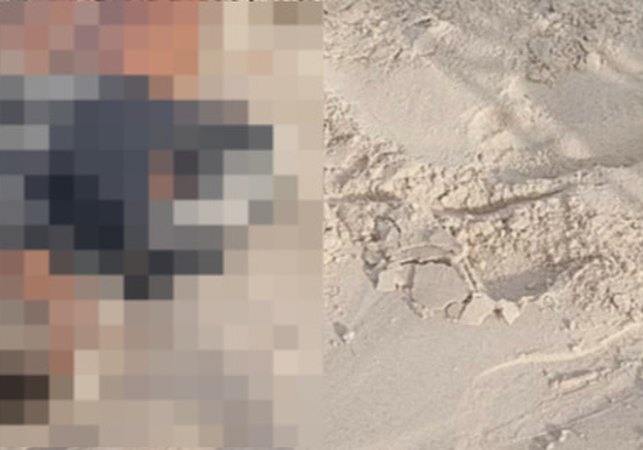 Corpo de homem seminu é encontrado em praia de Coruripe