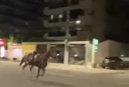 Cavalos da PM saem em disparada em avenida após susto com barulho de fogos, em Maceió