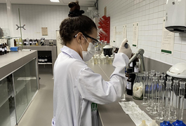 Instituto do Meio Ambiente divulga laudo sobre mortandade de peixes em Jequiá da Praia