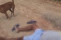 Comerciante de Pindoba é assassinado a tiros em estrada vicinal de Viçosa