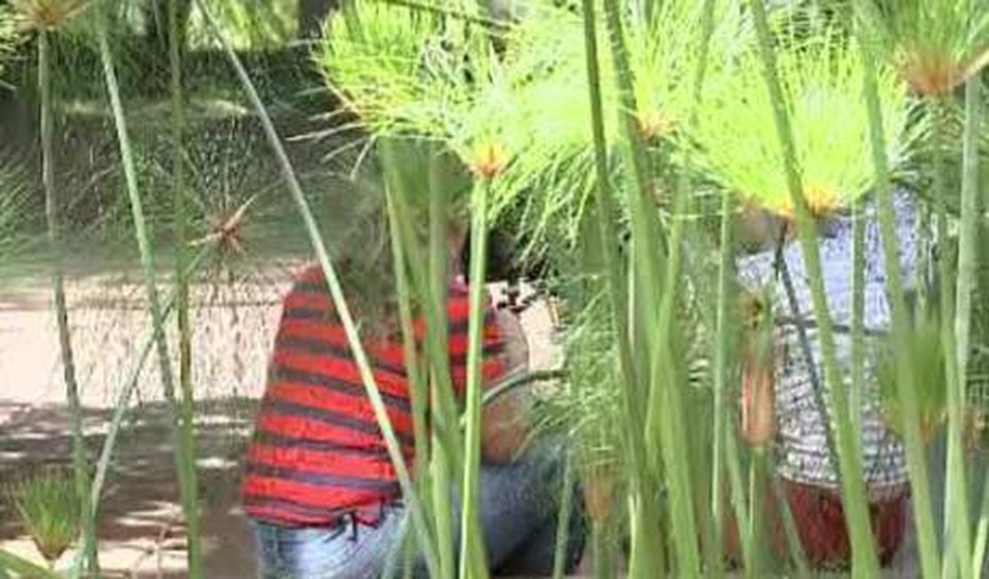 Criança de seis anos estuprada pelo padrasto filma abuso e manda vídeo para tia