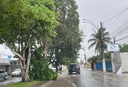 Alegando que levou calote de restaurante, ex-funcionário decide consumir produtos sem pagar, em Arapiraca