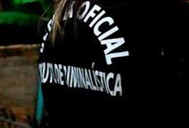 Instituto de Criminalística recusa perícias ambientais por falta de equipamentos