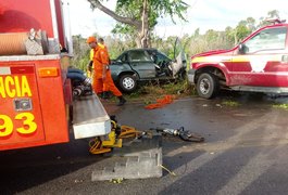 Morre segunda vítima de grave colisão de carro em árvore em Penedo