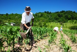 Deputados aprovam Auxílio Emergencial para agricultores familiares