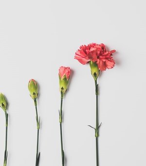 7 mudanças de estilo de vida que vão te surpreender!