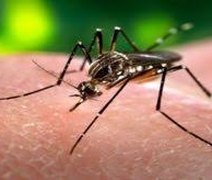 Brasil inicia testes em humanos da primeira vacina contra chikungunya no mundo