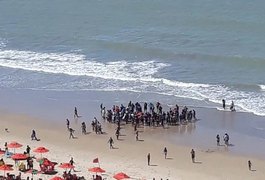 Vídeo. Homem é socorrido após ser atacado por tubarão na praia de Piedade, em Jaboatão dos Guararapes
