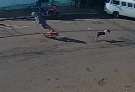 Morre idoso 'atropelado' por cachorro que corria na rua no interior de SP
