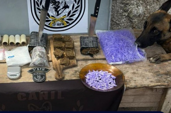 Ação policial apreende 850 gramas de maconha e quase 200 pinos de cocaína em matagal, em Arapiraca