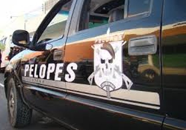Suspeito é preso por tráfico de drogas e posse de munição de uso restrito, em Arapiraca