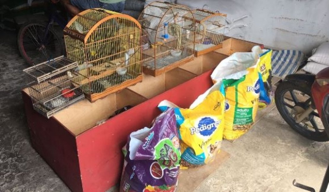 Equipe de fiscalização do IMA flagra irregularidades em Arapiraca