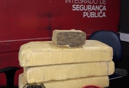 PC apreende 3kg de maconha dentro de balde e enterrada no Sertão