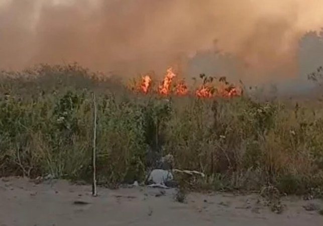 Polícia Militar prende suspeito de provocar incêndio criminoso em Maceió