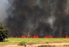 Dois são presos por suspeita de incêndios criminosos em São Paulo