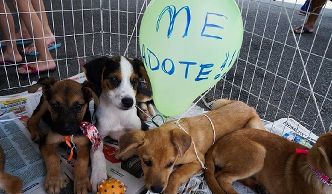 Dia do Amigo PET acontece no próximo sábado em Arapiraca