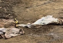 Corpo esquartejado é encontrado em estrada no Norte de Alagoas