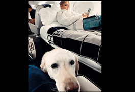 Jennifer Lopez e Alex Rodriguez posam em jatinho para visitar a família e fãs ficam revoltados