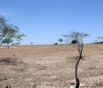 Alagoas foi um dos estados que teve agravamento da seca em abril, diz agência