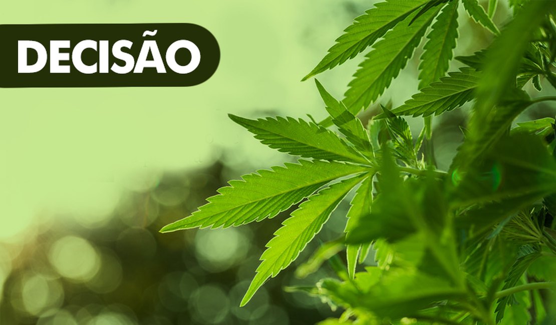 Justiça absolve idoso portador de câncer que usava maconha para fins medicinais