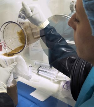 Reino Unido aprova ‘transplantes de cocô’ para tratar superbactérias