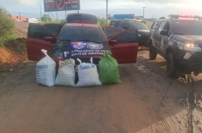 Cerca de 240kg de maconha que seriam levados de Arapiraca para Marechal são apreendidos durante abordagem