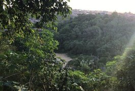 Corpo de homem é encontrado parcialmente enterrado em mata fechada