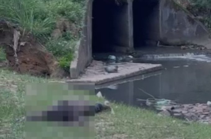 Corpo é encontrado em córrego na região da Grota Pau D’Arco, na Avenida Leste-Oeste