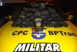 PM apreende 31 quilos de maconha em plantação de bananas no Feitosa