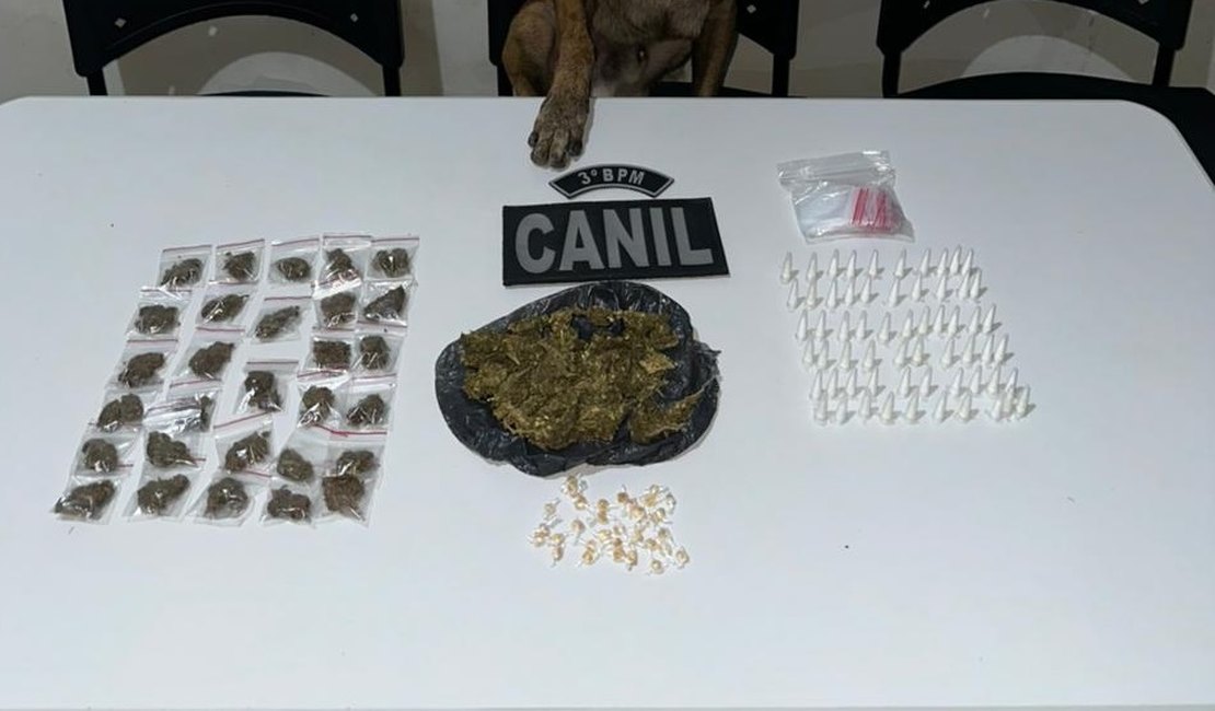 Polícia Militar localiza drogas escondidas em ruas do bairro Canafístula, em Arapiraca