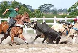 MPE/AL ajuíza ação para suspender 14º Campeonato Brasileiro de Vaquejada, no Pilar