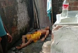 Jovem é morto a tiros no quintal de casa em São José da Laje