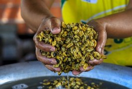 Sururu: bem imaterial gostoso, que enche o alagoano de orgulho