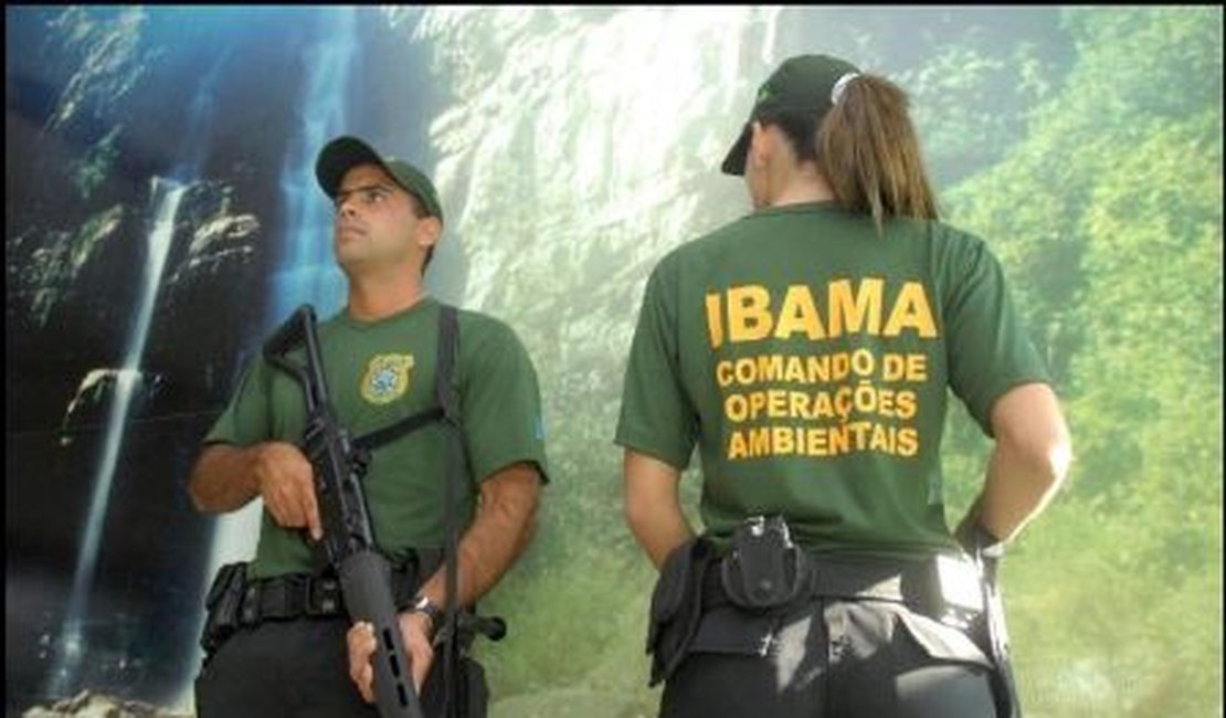 Ibama confirma concurso para nível médio e superior com mais de mil vagas