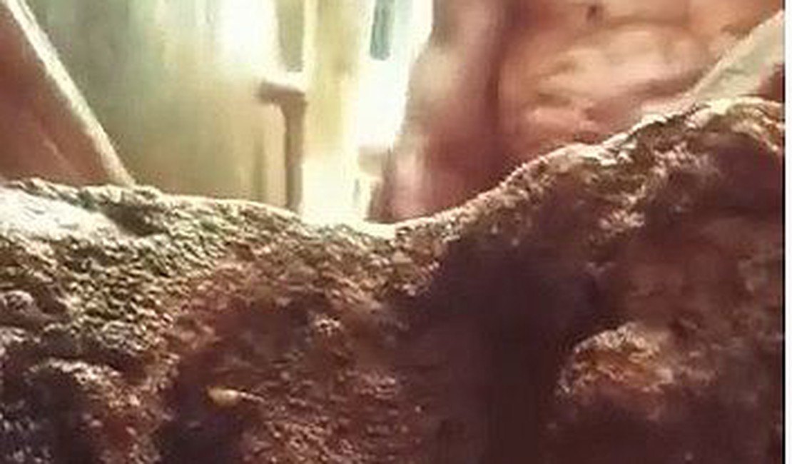 Mulher flagrada agredindo homem debilitado em Maragogi é solta em audiência de custódia