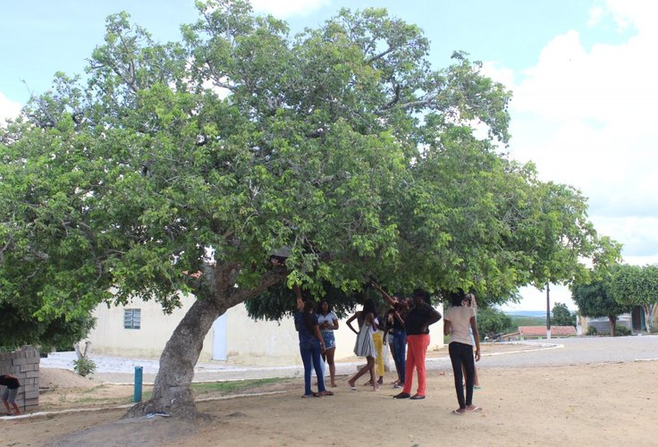 Decreto presidencial destina área para território quilombola, em Batalha