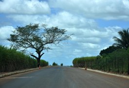 Programa Alagoas de Ponta a Ponta segue em Junqueiro com pavimentação asfáltica