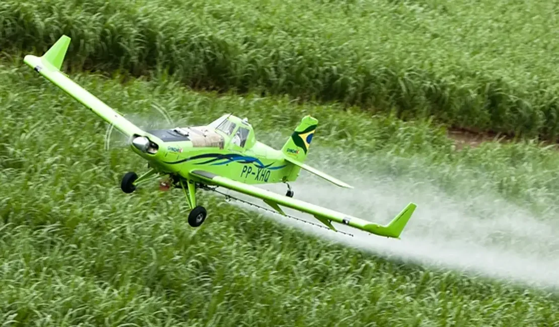 Agrotóxicos estão mais nocivos em todo o mundo, aponta estudo