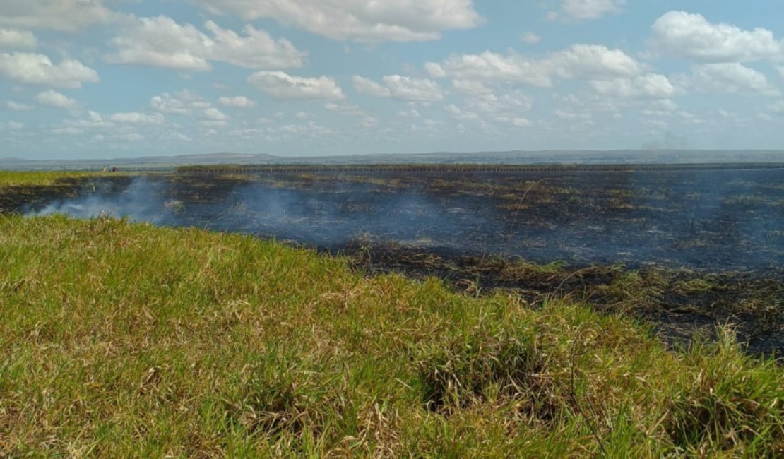 VÍDEO: Fogo atinge extensa área de vegetação na Zona Rural de Limoeiro de Anadia