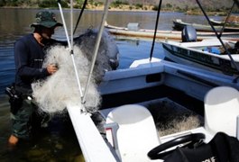 Fiscalização flagra pesca irregular no Rio São Francisco, em Pão de Açúcar