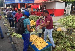 Milho se destaca no comércio de produtos típicos das festas juninas em Arapiraca