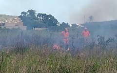 Fogo em vegetação