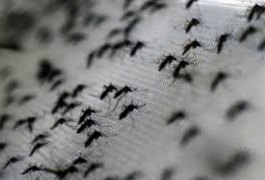 Colômbia tem mais de 37 mil vítimas do vírus Zika