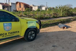 Cearense é morto com pauladas, pedradas e facadas, em Arapiraca