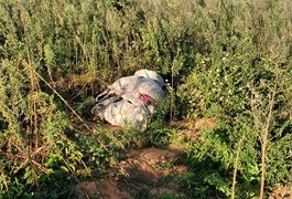VÍDEO. Populares encontram corpo amarrado com panos no Agreste