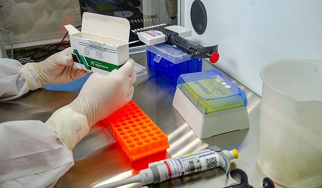 Estudos da Ufal confirmam aumento de casos e alerta para descontrole da pandemia no Estado